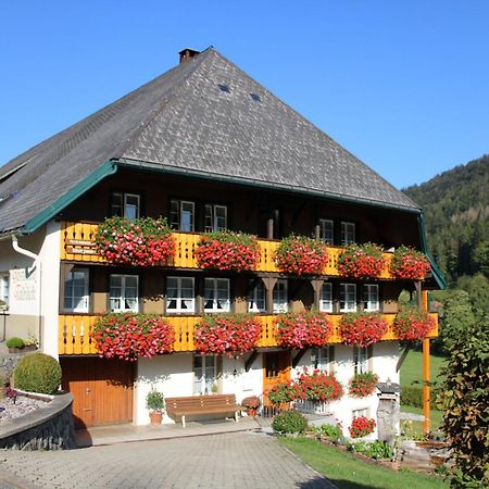 Ferienwohnung Talblick Todtmoos Luaran gambar