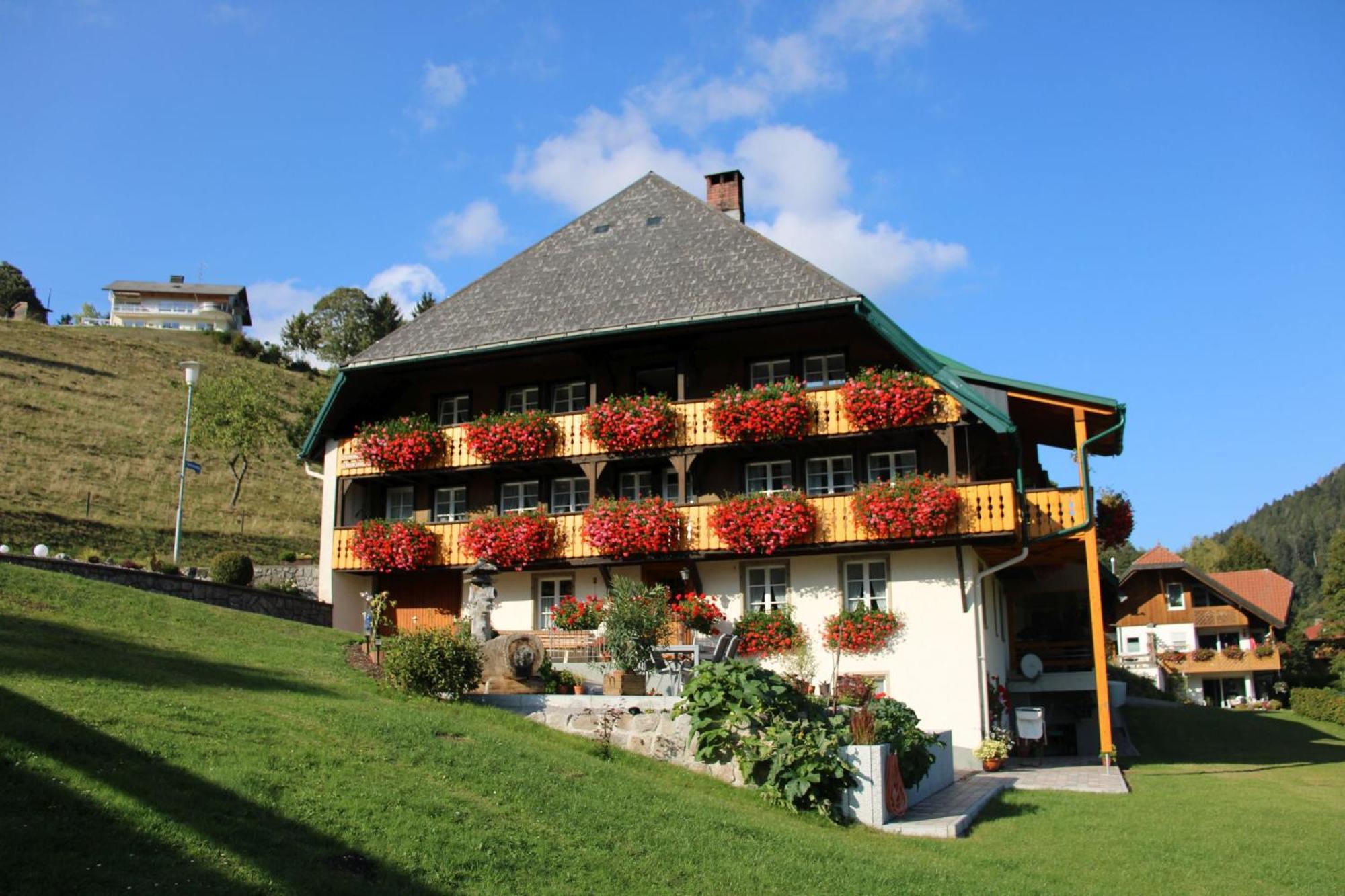 Ferienwohnung Talblick Todtmoos Luaran gambar
